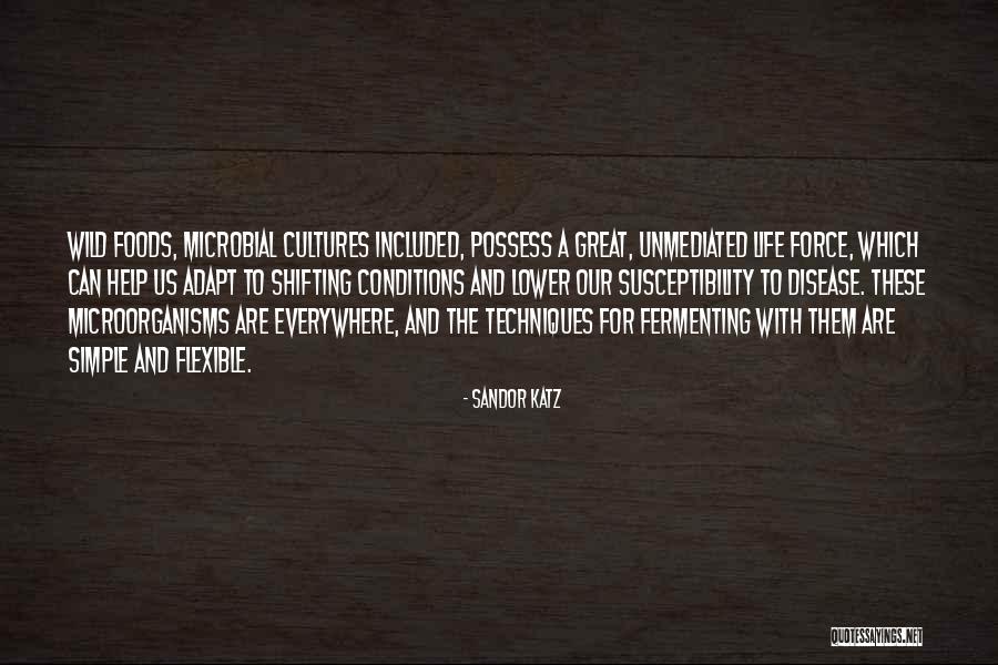 Tarcisius Name Quotes By Sandor Katz Tarcisius Name Quotes By Sandor Katz