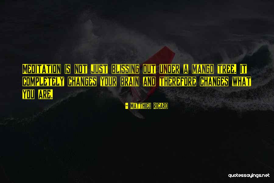 Tardezinha 2 Quotes By Matthieu Ricard Tardezinha 2 Quotes By Matthieu Ricard
