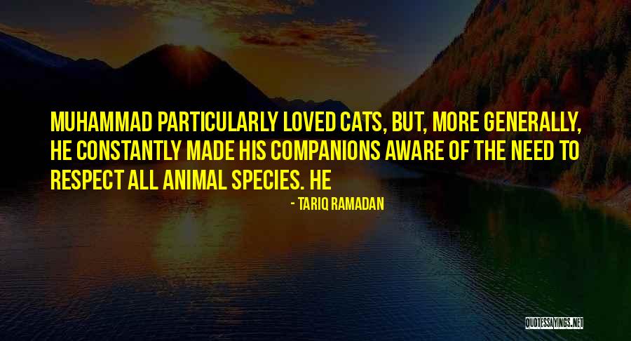 Tariq Ramadan Quotes 1295743