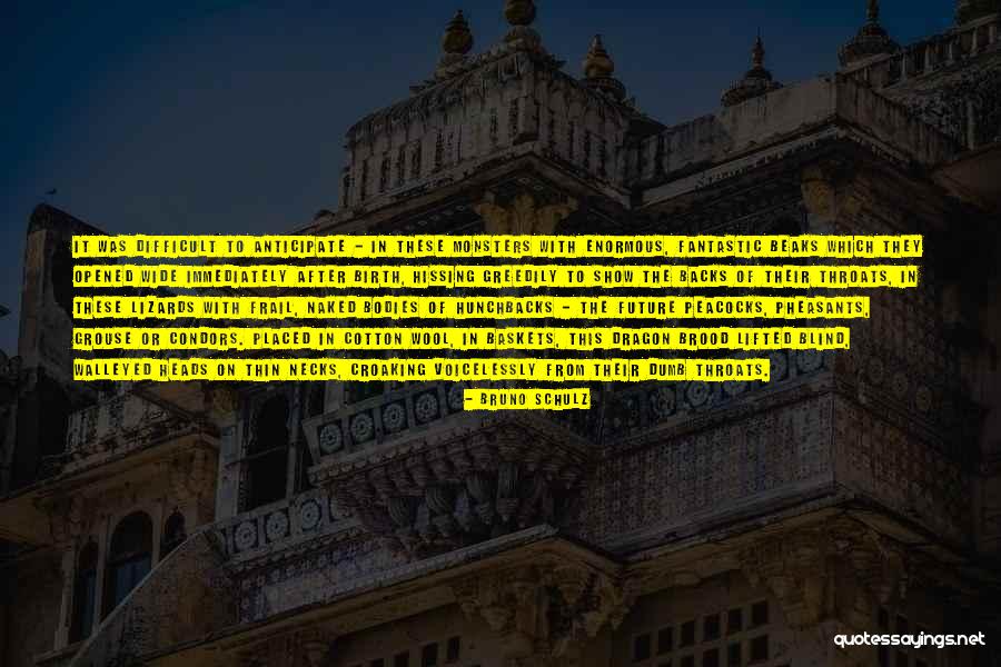 Tarladan Quotes By Bruno Schulz Tarladan Quotes By Bruno Schulz