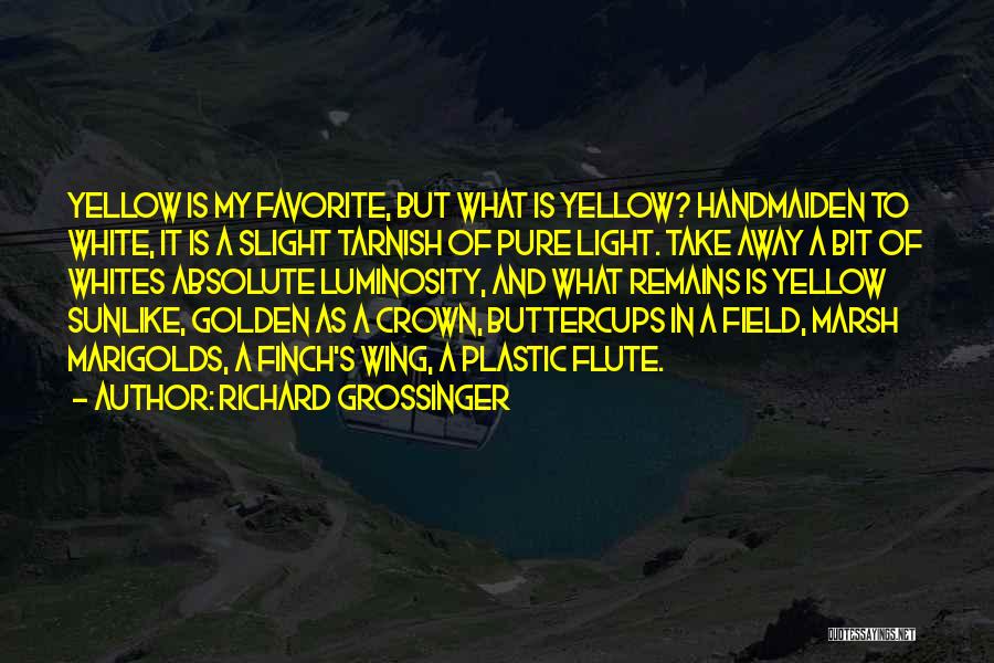 Tarnish Quotes By Richard Grossinger