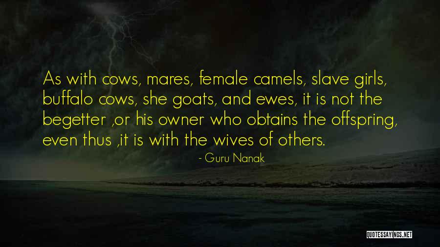 Tarocco Nourishing Quotes By Guru Nanak Tarocco Nourishing Quotes By Guru Nanak