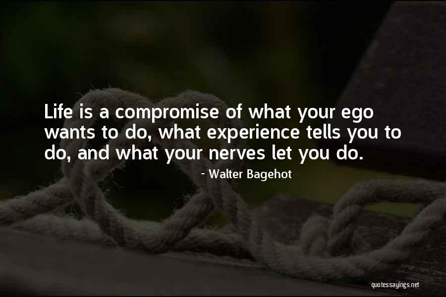 Taromio Quotes By Walter Bagehot Taromio Quotes By Walter Bagehot