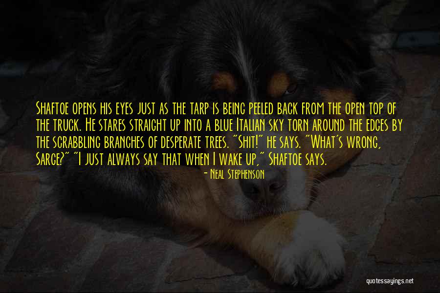 Tarp Quotes By Neal Stephenson Tarp Quotes By Neal Stephenson
