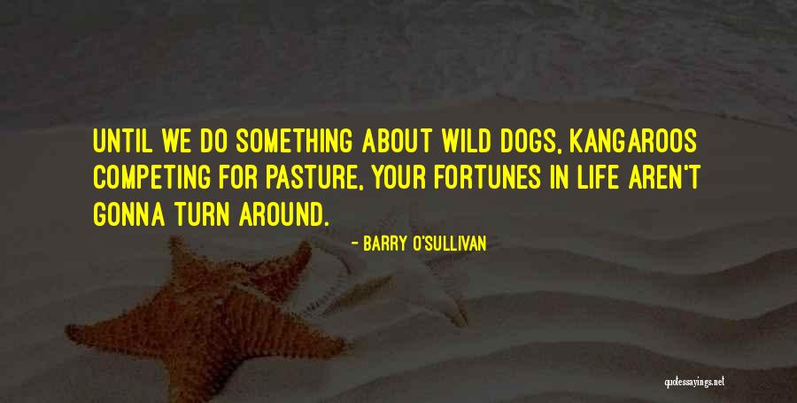 Tartuffe Magyarul Quotes By Barry O'Sullivan Tartuffe Magyarul Quotes By Barry O'Sullivan