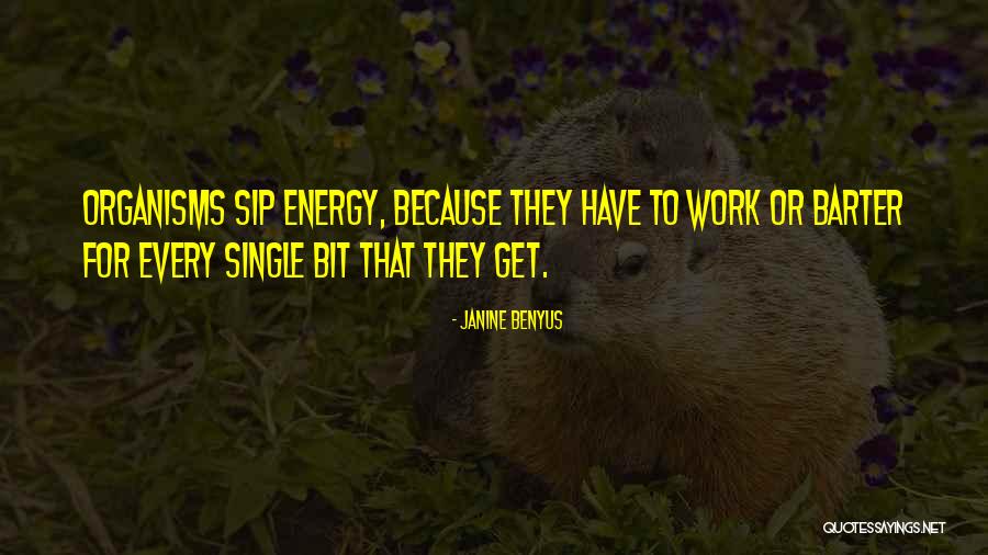 Tarun Kumar Jain Quotes By Janine Benyus Tarun Kumar Jain Quotes By Janine Benyus