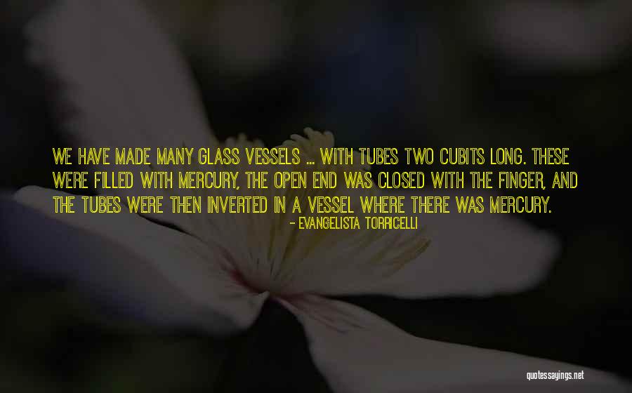 Taryn Duarte Quotes By Evangelista Torricelli Taryn Duarte Quotes By Evangelista Torricelli