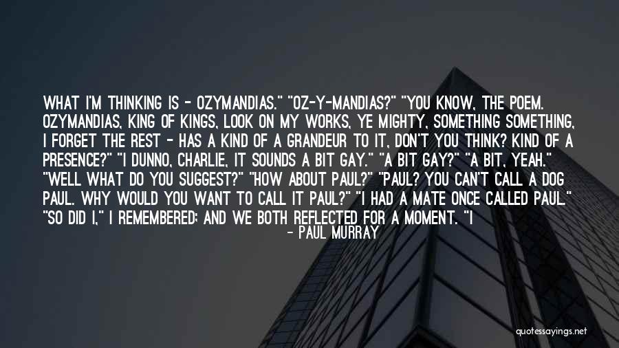 Tarynsimon Quotes By Paul Murray Tarynsimon Quotes By Paul Murray