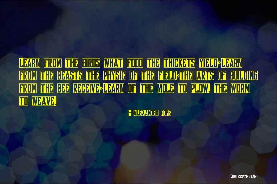 Tarzans Dad Quotes By Alexander Pope Tarzans Dad Quotes By Alexander Pope