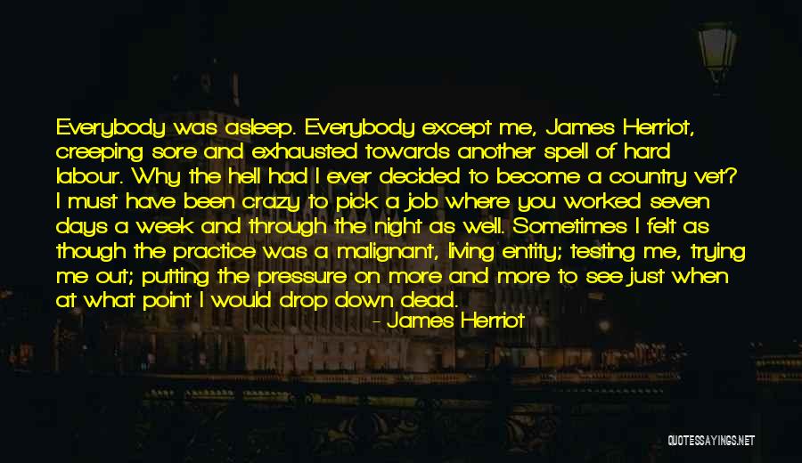 Tarziu Lucian Quotes By James Herriot Tarziu Lucian Quotes By James Herriot