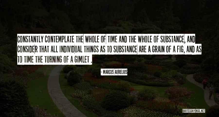 Tasdemir Marble Quotes By Marcus Aurelius Tasdemir Marble Quotes By Marcus Aurelius