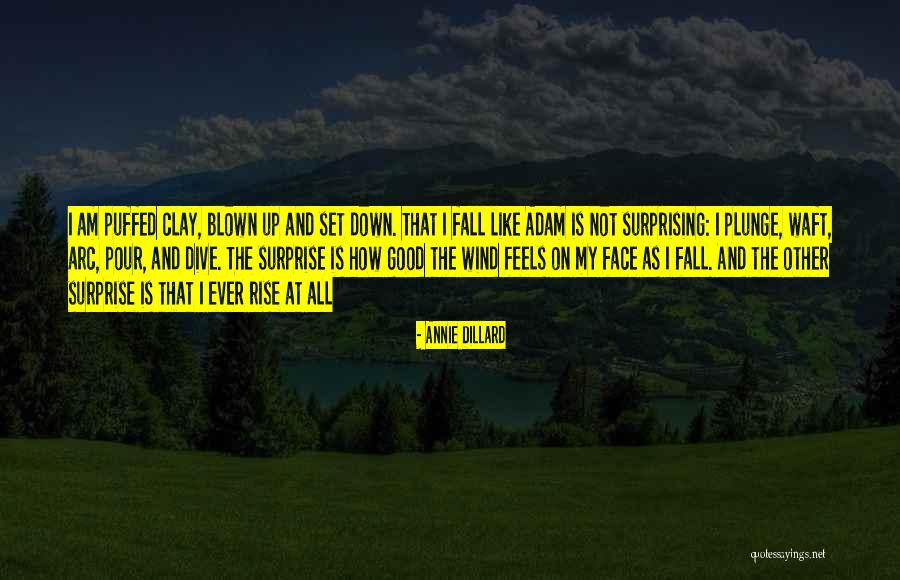 Tasey Rugs Quotes By Annie Dillard Tasey Rugs Quotes By Annie Dillard