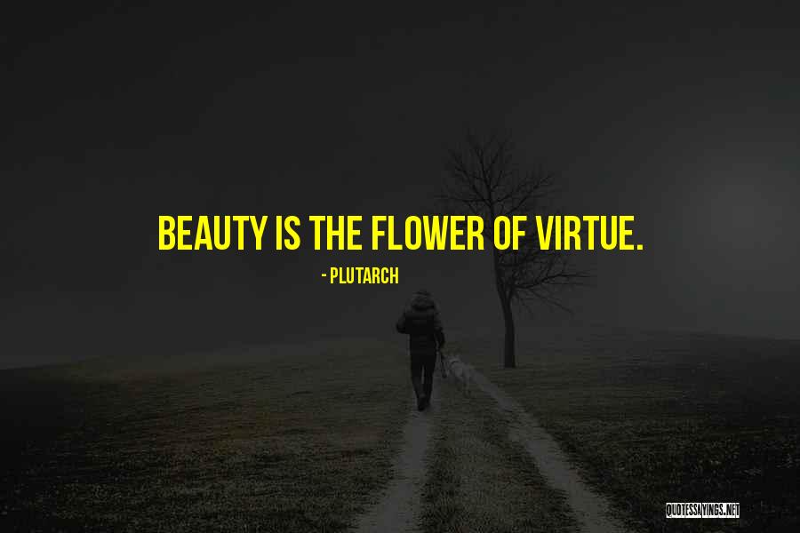 Tasheel Uae Quotes By Plutarch Tasheel Uae Quotes By Plutarch