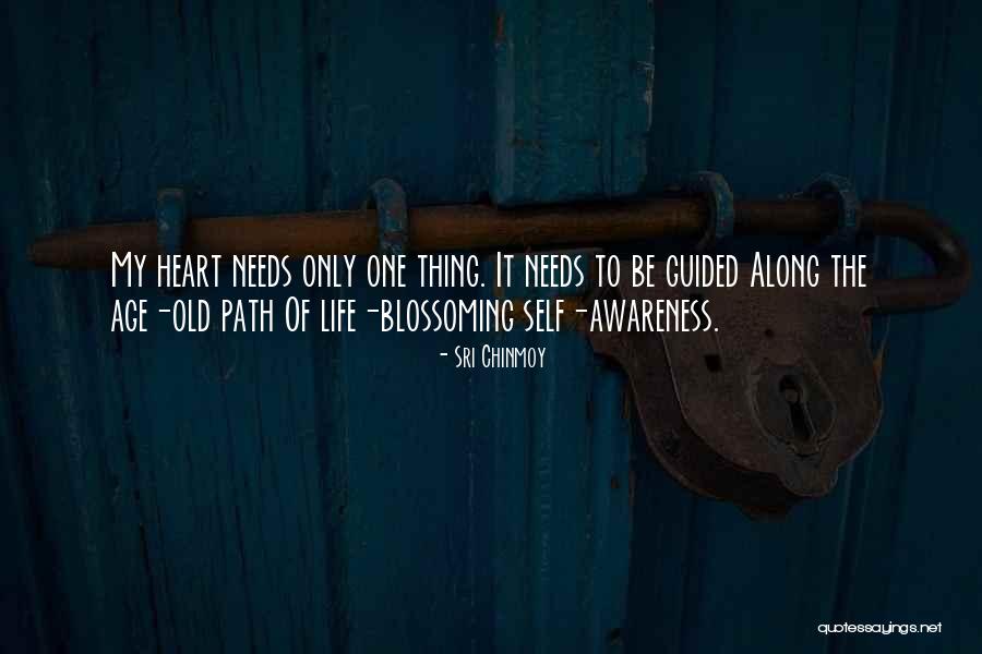 Tashina Gauhar Quotes By Sri Chinmoy Tashina Gauhar Quotes By Sri Chinmoy