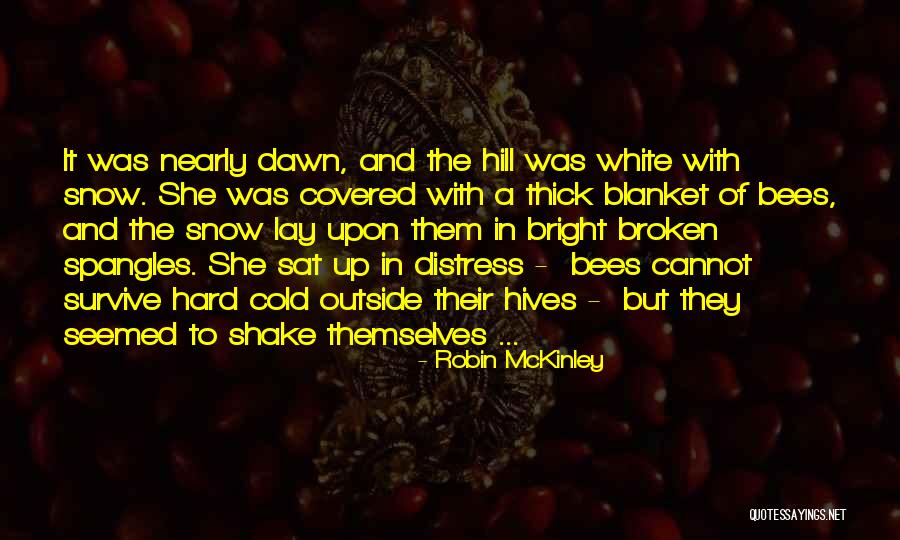 Tashiskari Quotes By Robin McKinley Tashiskari Quotes By Robin McKinley