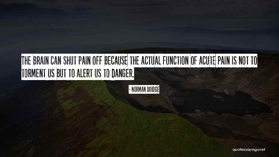 Tasmanian Devil Funny Quotes By Norman Doidge Tasmanian Devil Funny Quotes By Norman Doidge