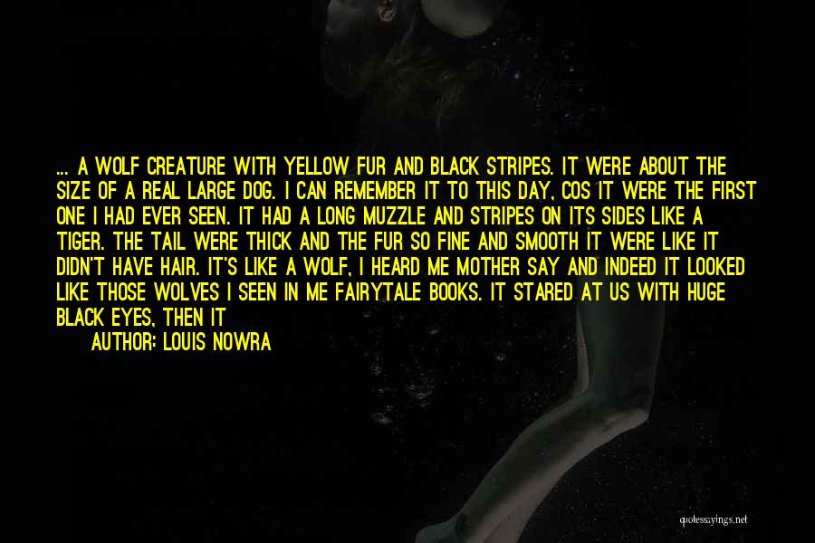 Tasmanian Quotes By Louis Nowra