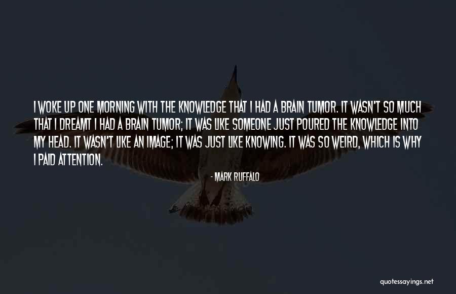 Tasmine Williams Quotes By Mark Ruffalo Tasmine Williams Quotes By Mark Ruffalo