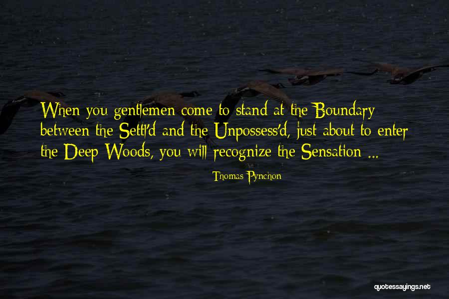 Tassar Saree Quotes By Thomas Pynchon Tassar Saree Quotes By Thomas Pynchon