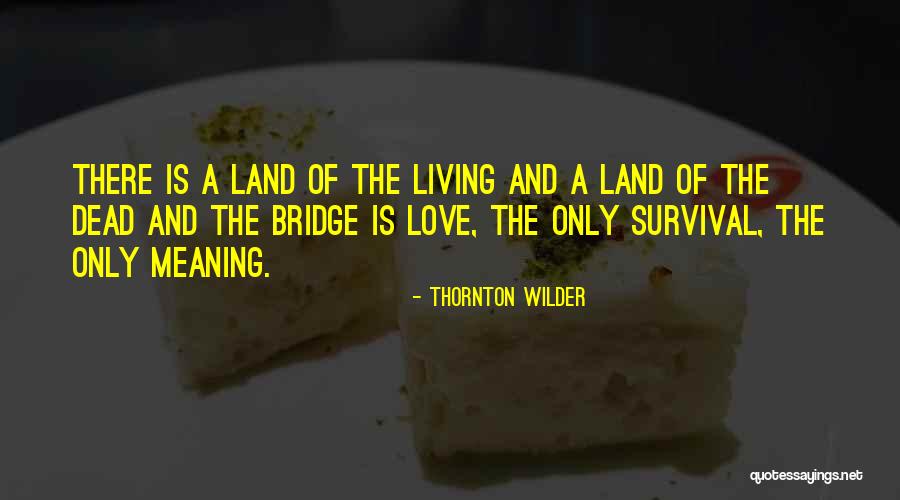 Tasselli In English Quotes By Thornton Wilder Tasselli In English Quotes By Thornton Wilder