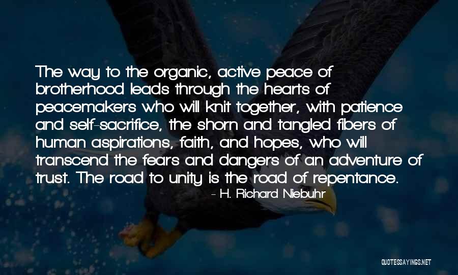 Tassoni Tonica Quotes By H. Richard Niebuhr Tassoni Tonica Quotes By H. Richard Niebuhr