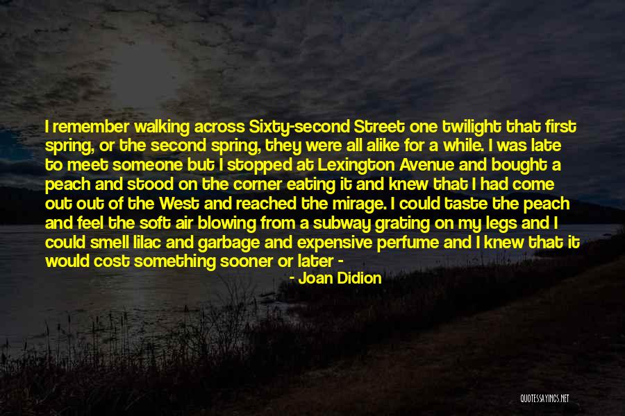 Taste And Smell Quotes By Joan Didion