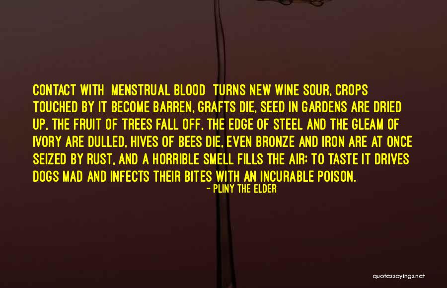 Taste Of Blood Quotes By Pliny The Elder