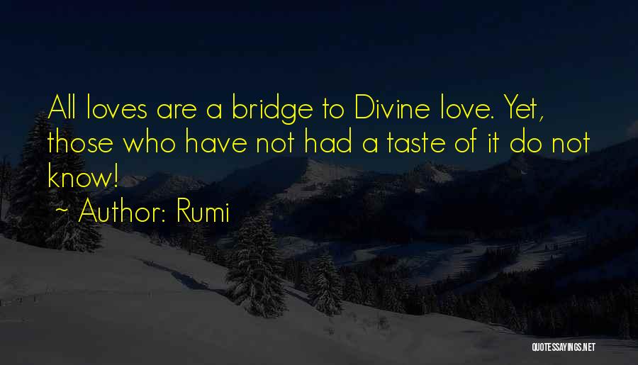 Taste Of Love Quotes By Rumi