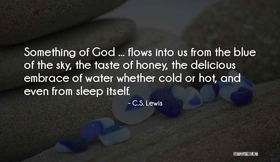 Taste Of The Sky Quotes By C.S. Lewis Taste Of The Sky Quotes By C.S. Lewis