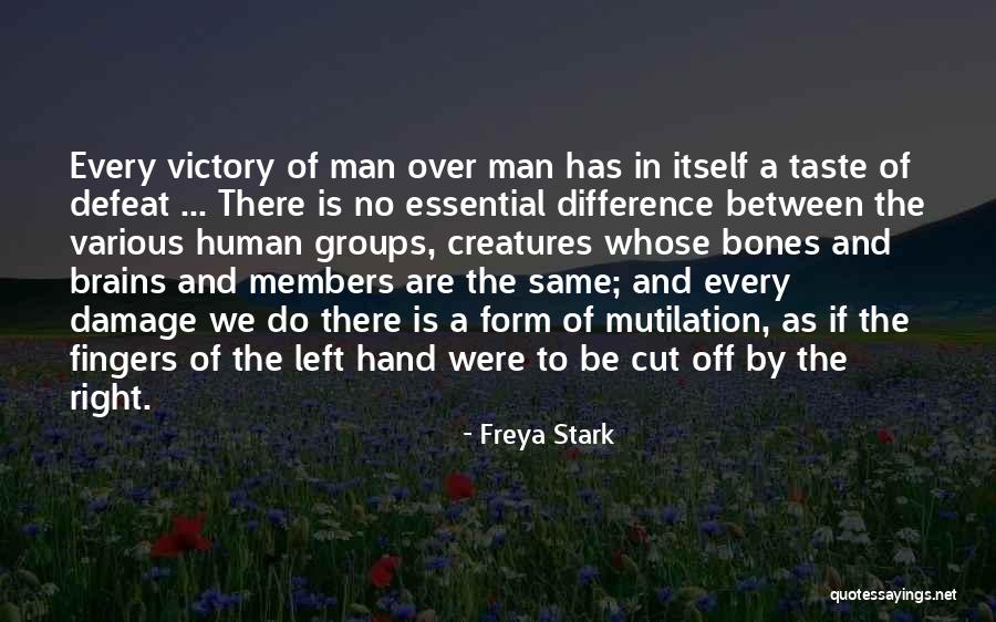 Taste Of Victory Quotes By Freya Stark Taste Of Victory Quotes By Freya Stark