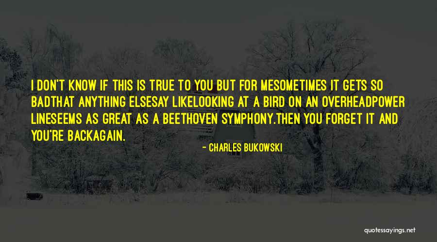 Taste The Nation Quotes By Charles Bukowski Taste The Nation Quotes By Charles Bukowski