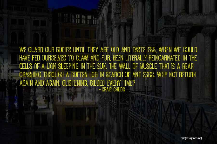 Tasteless Quotes By Craig Childs Tasteless Quotes By Craig Childs