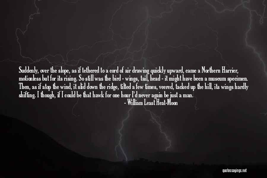 Tastenkombinationen Quotes By William Least Heat-Moon Tastenkombinationen Quotes By William Least Heat-Moon
