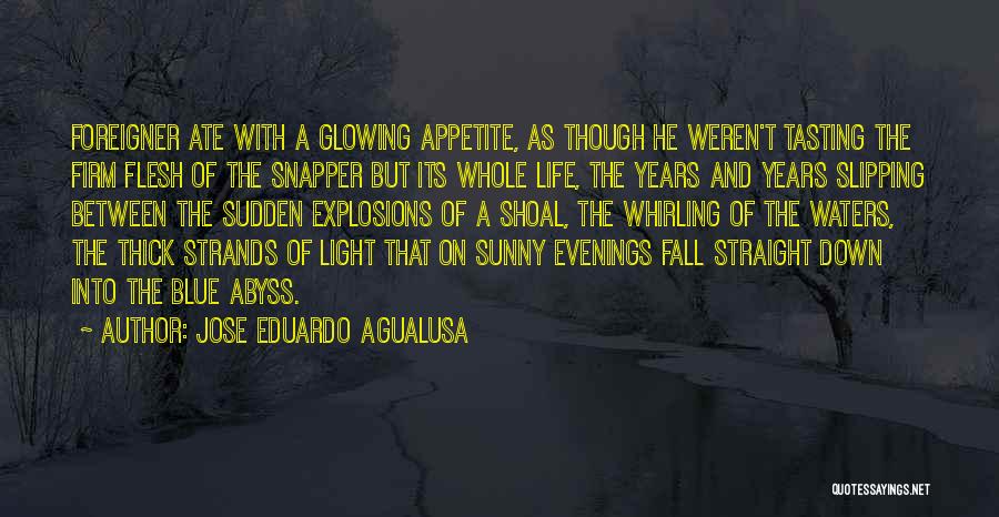 Tasting Life Quotes By Jose Eduardo Agualusa