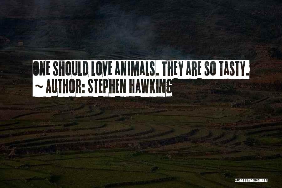 Tasty Quotes By Stephen Hawking