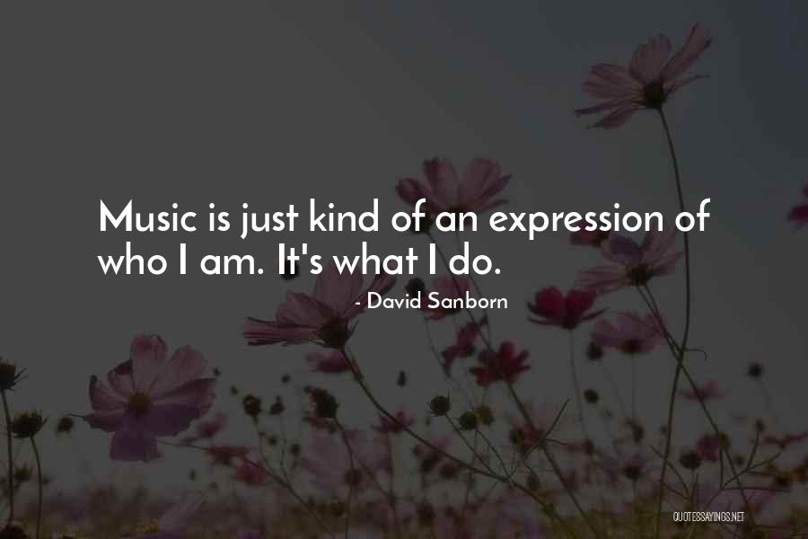 Tatarusanu Quotes By David Sanborn Tatarusanu Quotes By David Sanborn