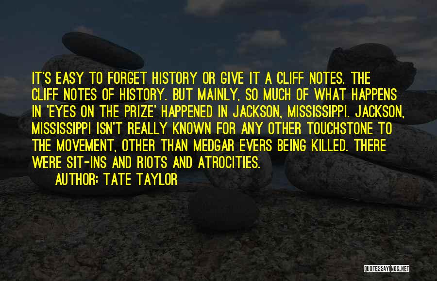 Tate Taylor Quotes 380100