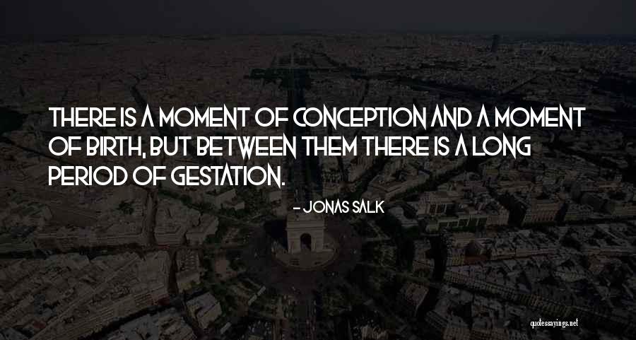 Tates Tax Service Quotes By Jonas Salk