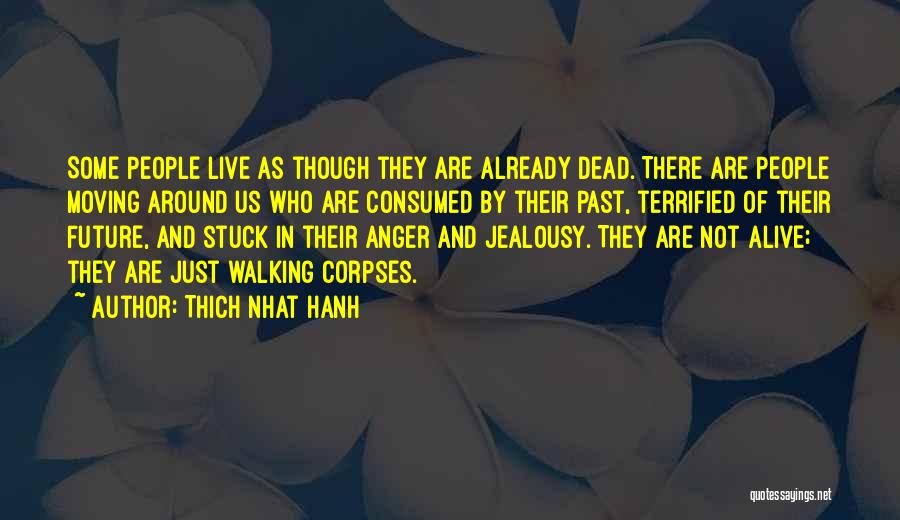 Tatilin Quotes By Thich Nhat Hanh