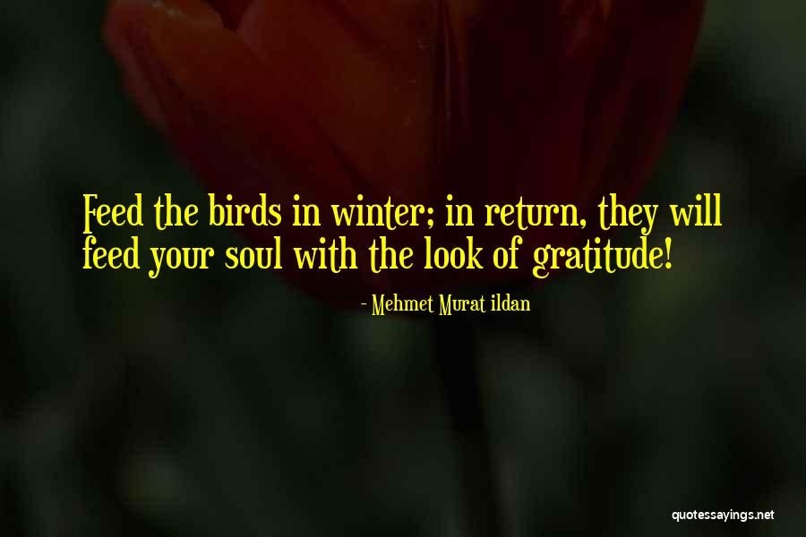 Tatlong Paring Quotes By Mehmet Murat Ildan Tatlong Paring Quotes By Mehmet Murat Ildan
