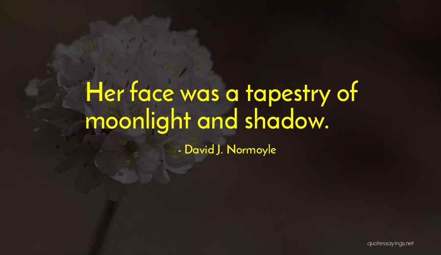 Tats Unis Quotes By David J. Normoyle Tats Unis Quotes By David J. Normoyle
