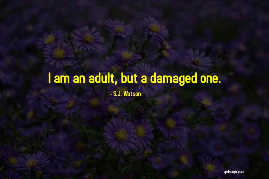 Tatsutoshi Yoshida Quotes By S.J. Watson