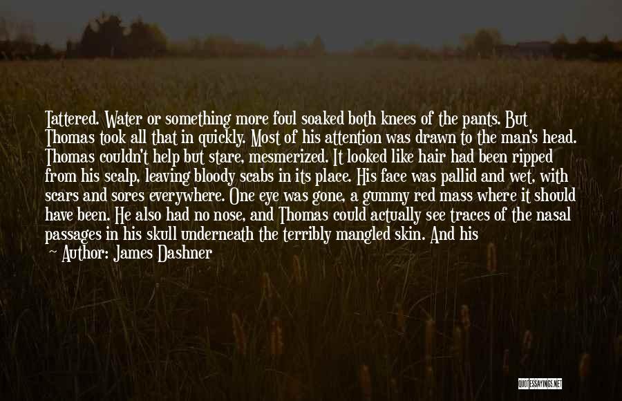 Tattered Quotes By James Dashner