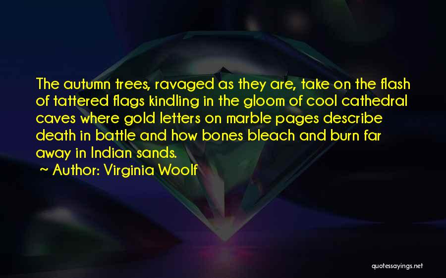 Tattered Quotes By Virginia Woolf