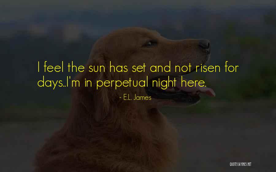 Tattersall Apartments Quotes By E.L. James Tattersall Apartments Quotes By E.L. James