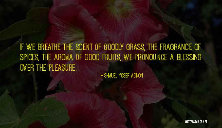 Tattlesbury Quotes By Shmuel Yosef Agnon Tattlesbury Quotes By Shmuel Yosef Agnon