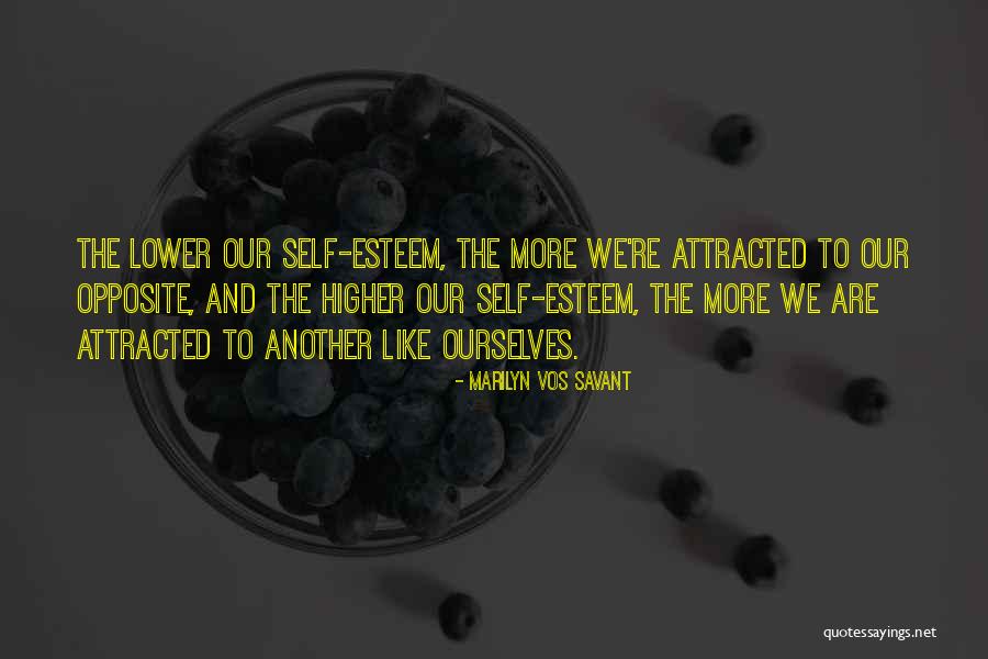 Taudientu Quotes By Marilyn Vos Savant Taudientu Quotes By Marilyn Vos Savant