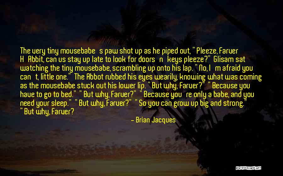 Taufik Adalah Quotes By Brian Jacques Taufik Adalah Quotes By Brian Jacques