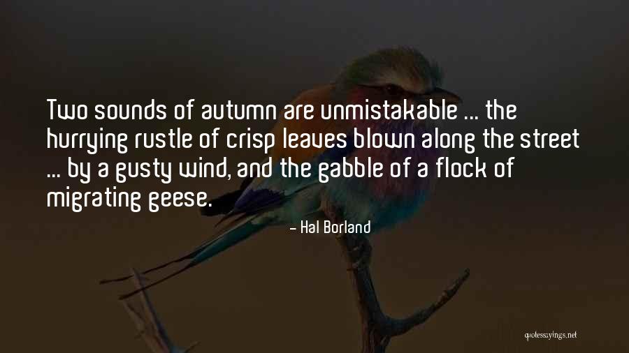 Taunters Quotes By Hal Borland Taunters Quotes By Hal Borland