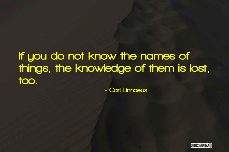 Tauranga Things Quotes By Carl Linnaeus Tauranga Things Quotes By Carl Linnaeus